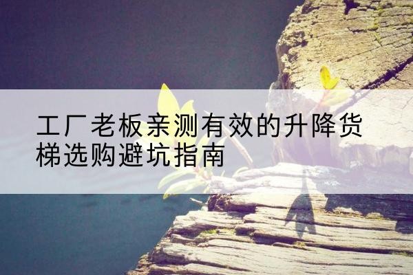 布尔津升降货梯怎么选-工厂老板亲测有效的升降货梯选购避坑指南