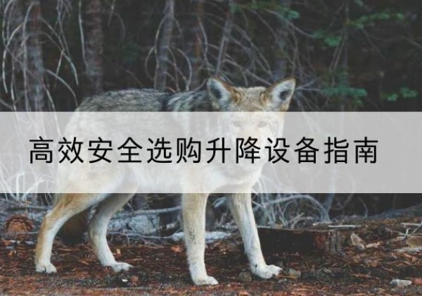 布尔津升降货梯厂家推荐-*安全选购升降设备指南