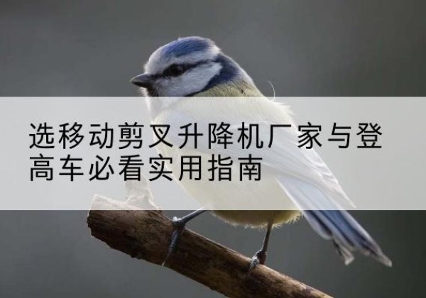 布尔津电动升降机厂家-选移动剪叉升降机厂家与登高车必看实用指南