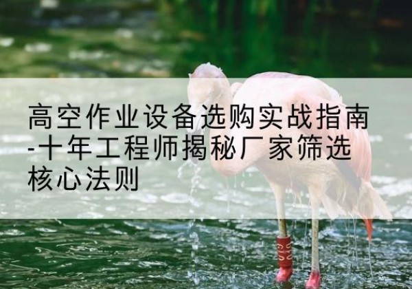 布尔津剪叉式升降机厂家-高空作业设备选购实战指南-十年工程师揭秘厂家筛选核心法则