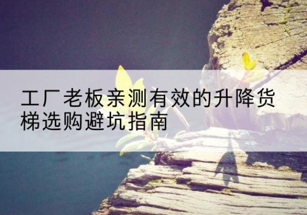 布尔津升降货梯怎么选-工厂老板亲测有效的升降货梯选购避坑指南